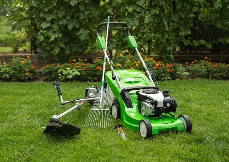 Can You Mow Wet Grass in Toronto, ON