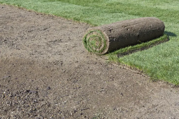 How Long After Installing Sod Can You Walk On It in Toronto, ON