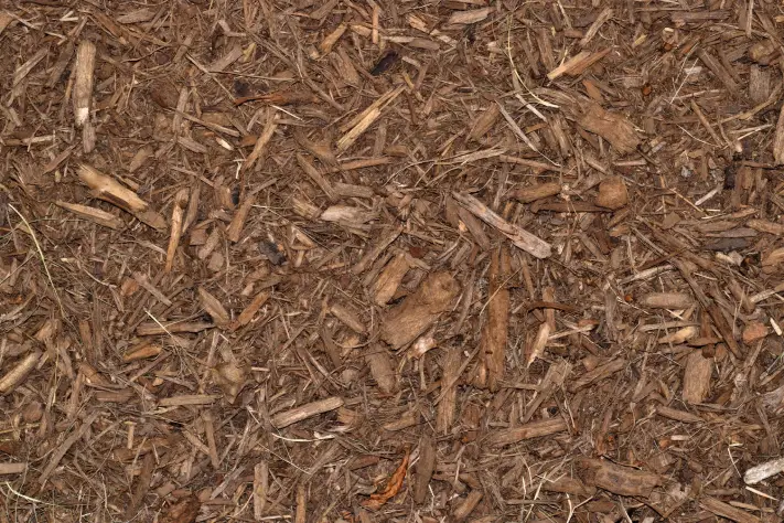 How Long Does Mulch Last in Toronto, ON