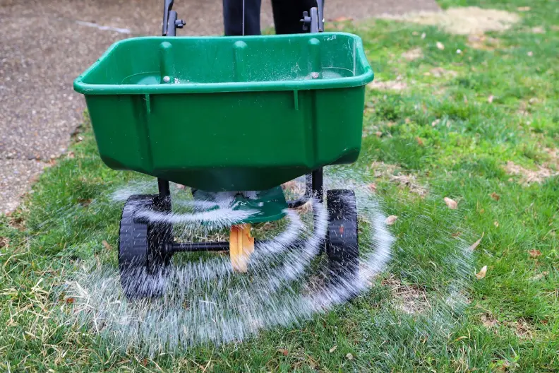 How Often Should You Fertilize Your Lawn in Toronto, ON