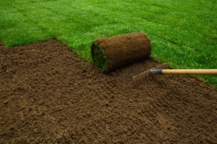 How to Lay Sod Over an Existing Lawn Toronto, ON