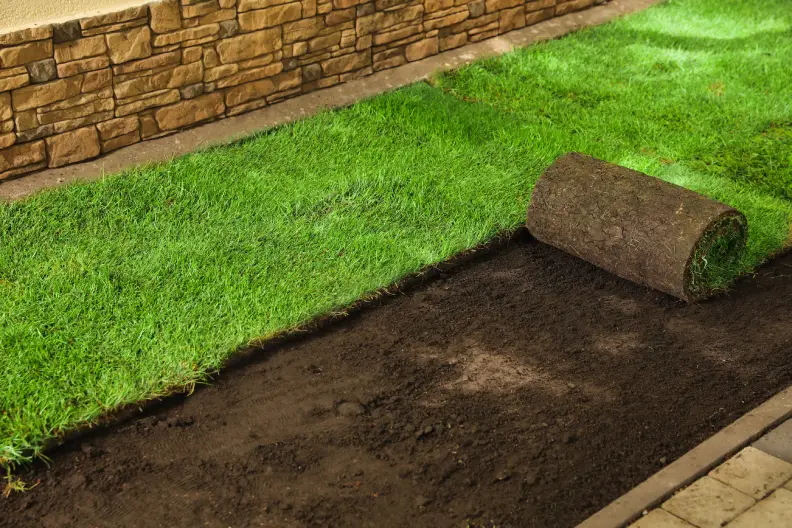 How to Lay Sod Over an Existing Lawn in Toronto, ON