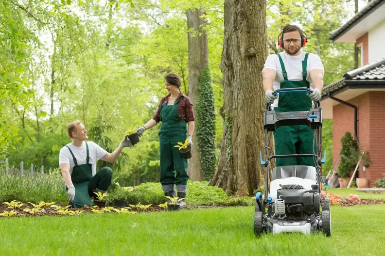 How to Mow a Lawn Toronto, ON