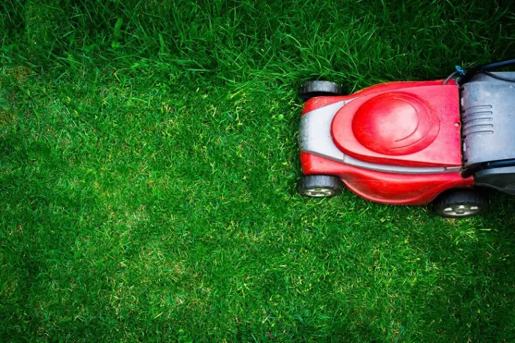 How to Mow a Lawn in Toronto, ON