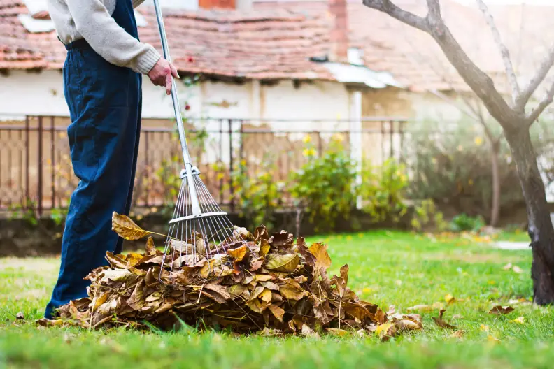 How to Clean A Backyard in Toronto, ON