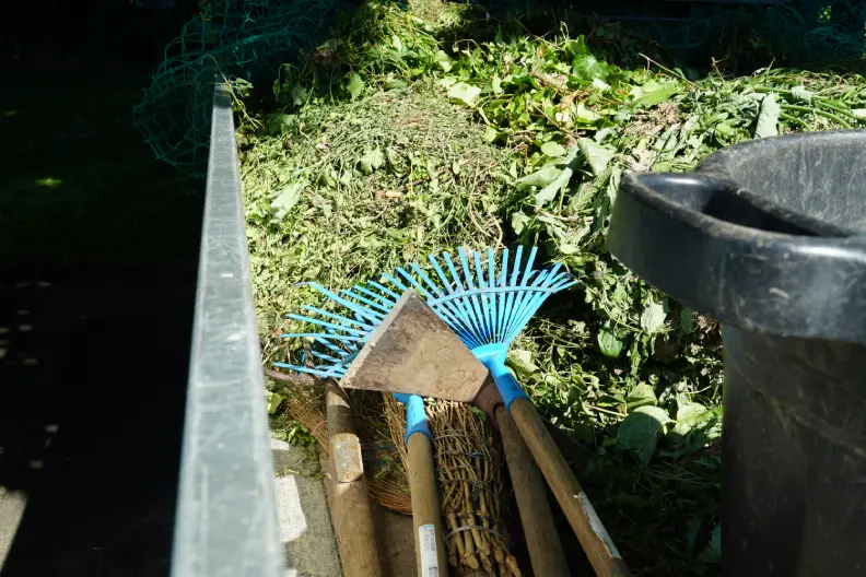 How to Clear a Yard Full of Weeds Toronto, ON