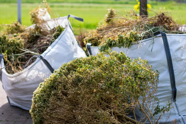 How to Clear a Yard Full of Weeds in Toronto, ON