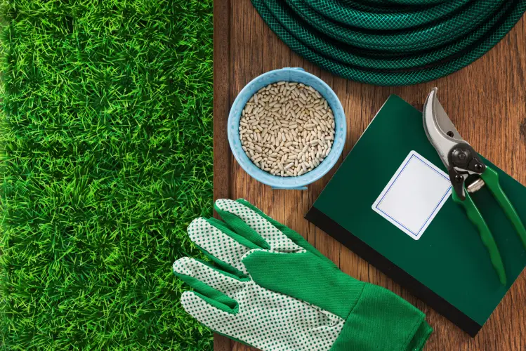 Lawn Fertilization in Toronto, ON - Landscaper