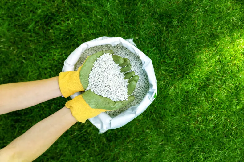 Lawn Fertilization in Toronto, ON