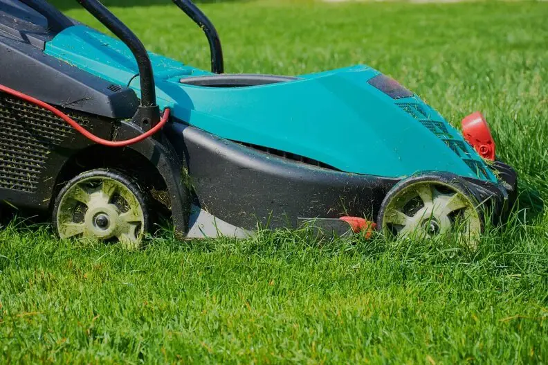 Lawn Mowing in Toronto, ON - Landscaper