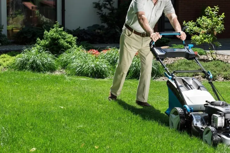 Lawn Mowing in Toronto, ON