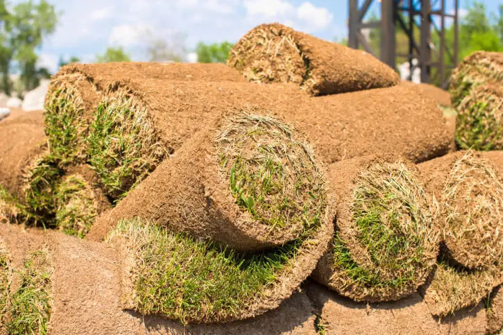 Sod Installation Toronto, ON