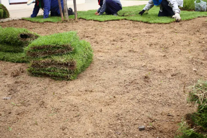 Sod Installation in Toronto, ON