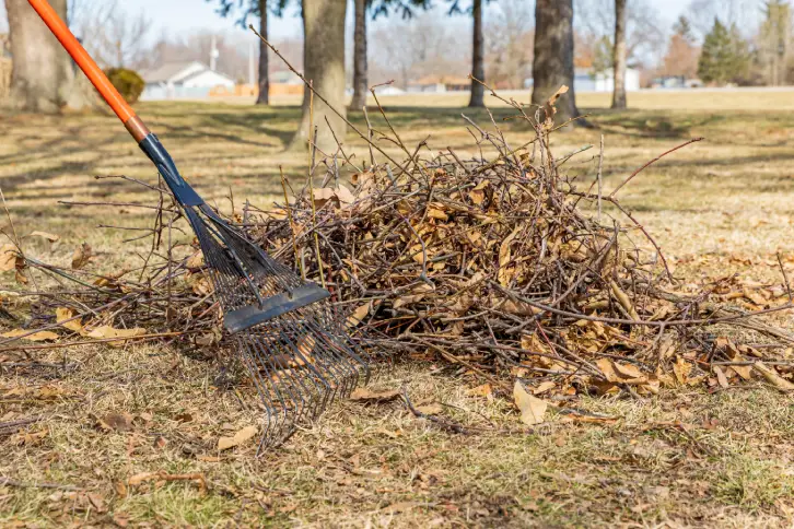 Yard Cleanup Toronto, ON