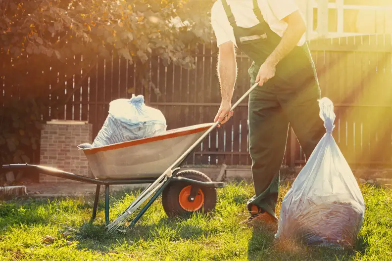 Yard Cleanup in Toronto, ON - Landscaper