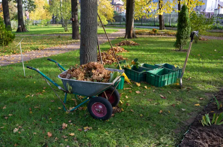 Yard Cleanup in Toronto, ON